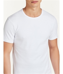 Ragno - Maglia uomo girocollo manica corta in caldo cotone invernale biologico. Art. 604477 Nero