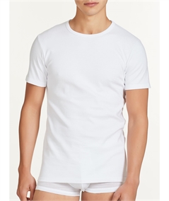 Ragno - Maglia uomo girocollo manica corta in caldo cotone invernale biologico. Art. 604477 Nero