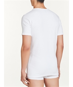 Ragno - Maglia uomo Scollo V manica corta in caldo cotone invernale biologico. Art. 604477 Bianco