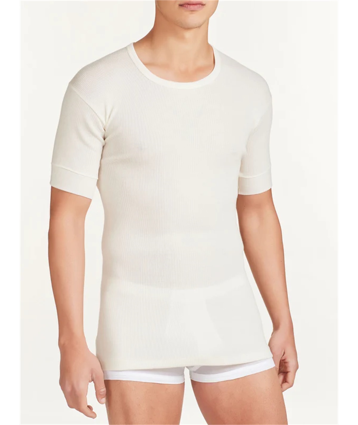 Ragno 003157 - Maglia girocollo in costina di lana Merino pesante. Colore Bianco  010