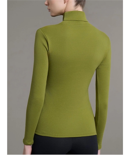 Ragno D274AK -  Maglia sottogiacca collo dolcevita in caldo cotone Biologico. Colore: Avocado 006 Ragno D274AK -  Maglia sottogiacca collo dolcevita in caldo cotone Biologico. Colore: Avocado 006