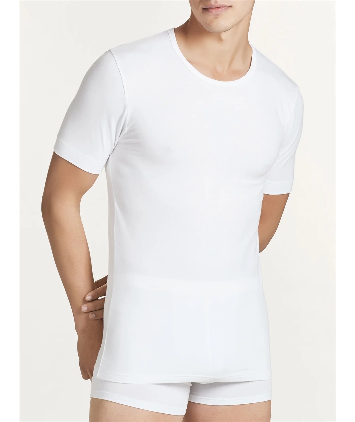 Ragno 611477 - Magliette girocollo a manica corta in cotone elasticizzato. Colore: Bianco 010B