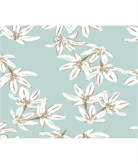 Dettaglio Fantasia Camicia