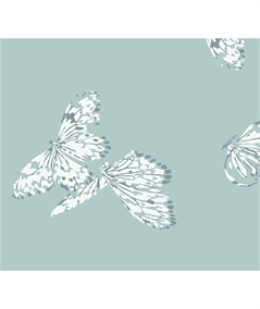 Dettaglio Fantasia Pantalone