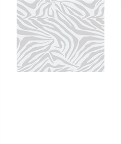 Dettaglio Fantasia Pantalone